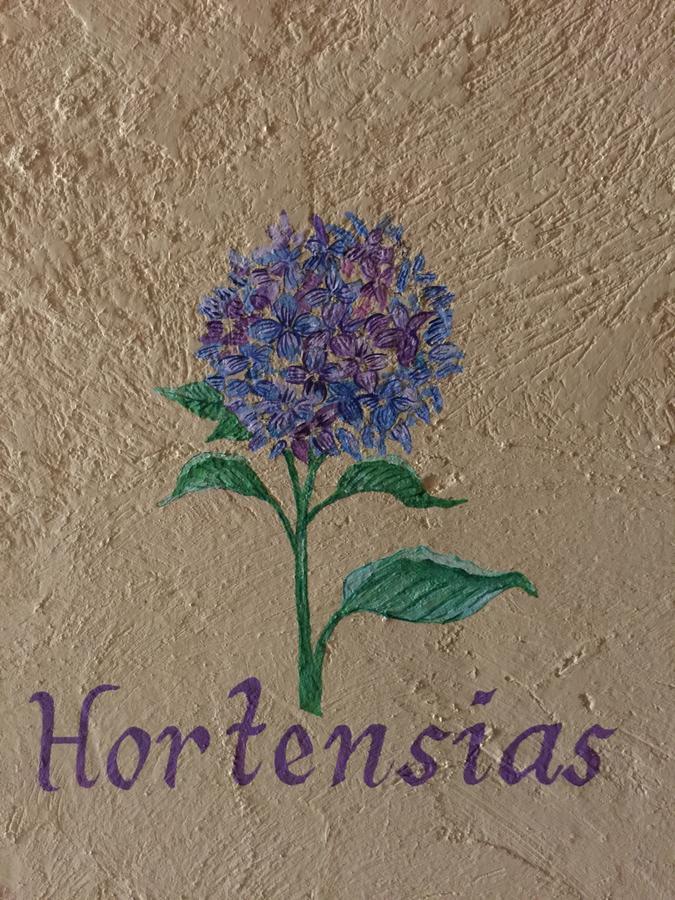 Hacienda Villa Victoria Boutique Comitan de Dominguez Dış mekan fotoğraf